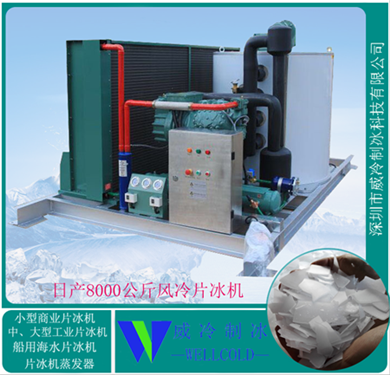 日產(chǎn)8T片冰機中大型制冰機