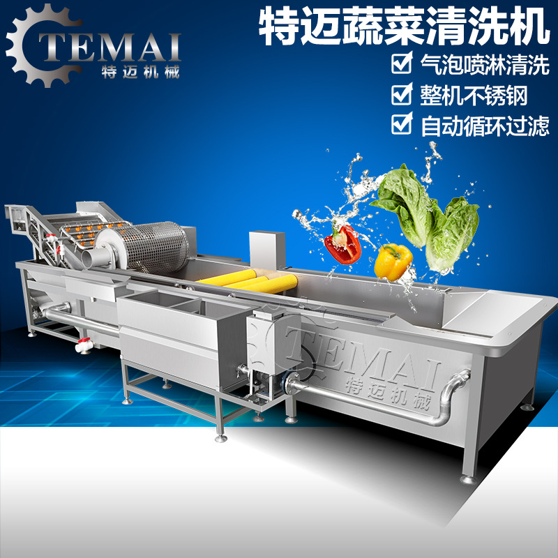  廠家直銷商用智能氣泡洗菜機(jī) 全自動臭氧洗菜機(jī)