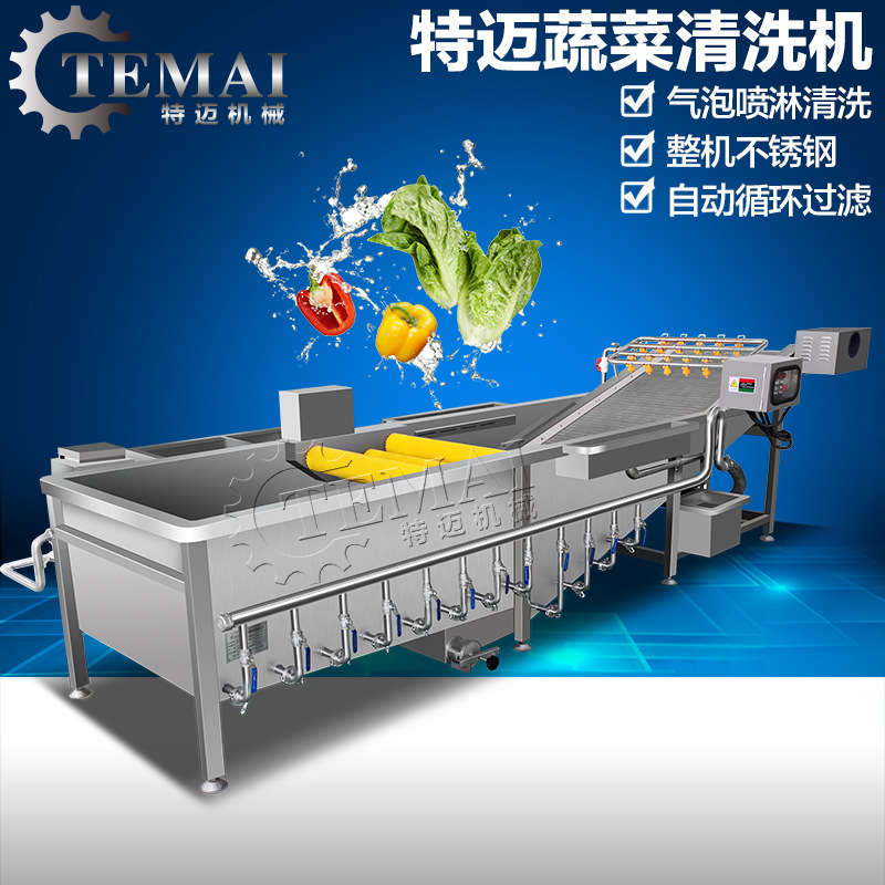 爆款全自動(dòng)商用智能氣泡洗菜機(jī) 臭氧消毒蔬菜清洗機(jī)