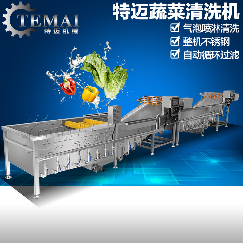 爆款全自動(dòng)商用智能氣泡洗菜機(jī) 臭氧消毒蔬菜清洗機(jī)