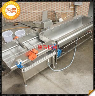 翻浪洗菜機 果蔬加工設(shè)備 洗菜機商用 果蔬洗菜機 符合衛(wèi)生標(biāo)準(zhǔn)