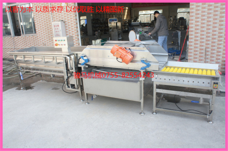 翻浪洗菜機 果蔬加工設(shè)備 洗菜機商用 果蔬洗菜機 符合衛(wèi)生標(biāo)準(zhǔn)
