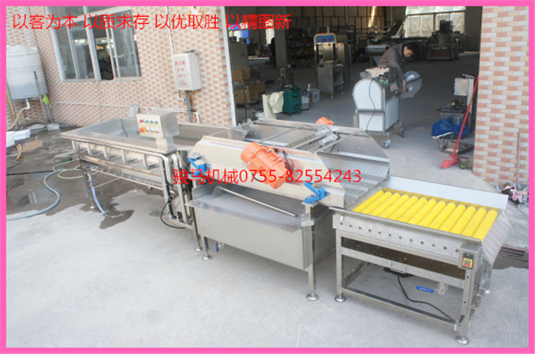 翻浪洗菜機 果蔬加工設(shè)備 洗菜機商用 果蔬洗菜機 符合衛(wèi)生標(biāo)準(zhǔn)