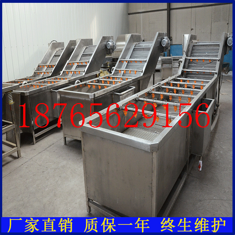 廠家定做商用蔬菜清洗機(jī) 大型氣泡洗菜機(jī) 酸菜清洗脫鹽機(jī)