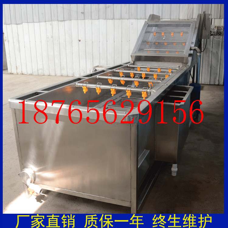 廠家定做商用蔬菜清洗機(jī) 大型氣泡洗菜機(jī) 酸菜清洗脫鹽機(jī)