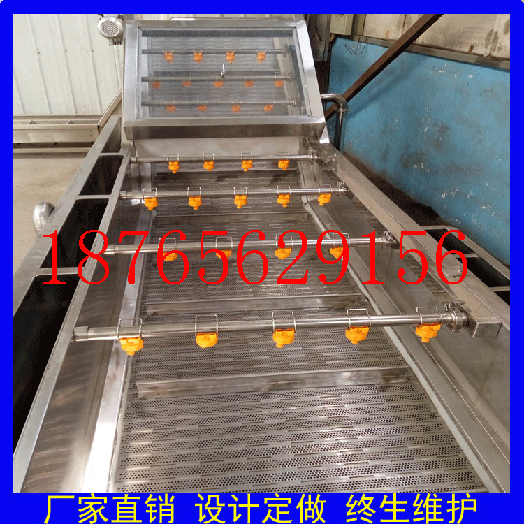 廠家定做商用蔬菜清洗機(jī) 大型氣泡洗菜機(jī) 酸菜清洗脫鹽機(jī)