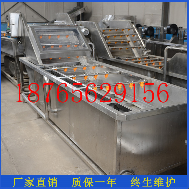廠家定做商用蔬菜清洗機(jī) 大型氣泡洗菜機(jī) 酸菜清洗脫鹽機(jī)