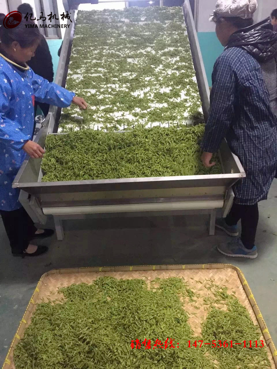 鼓泡氣泡清洗機(jī) 醬菜脫鹽清洗機(jī) 商用洗菜機(jī)全自動(dòng)果蔬清洗機(jī)