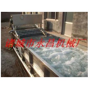 商用大型高壓氣體鼓泡式洗菜機 水循環(huán)芹菜清洗機