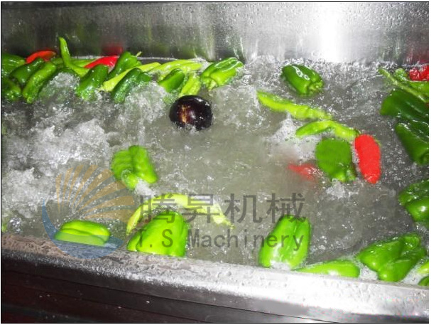 暢銷款 雙缸洗菜機(jī) 商用清洗機(jī) 果蔬清洗機(jī) 快速氣泡清洗機(jī)