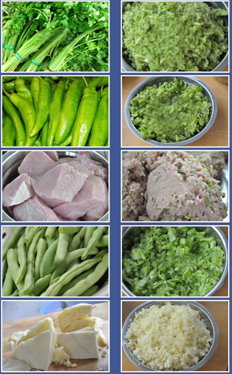 食物切碎機(jī)商用菜瓜果機(jī)切碎料理機(jī)切菜機(jī)電動(dòng)切碎機(jī)新品上市
