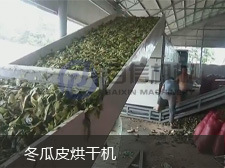 冬瓜皮烘干機(225-168)