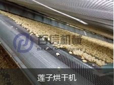 蓮子烘干機(225-168)