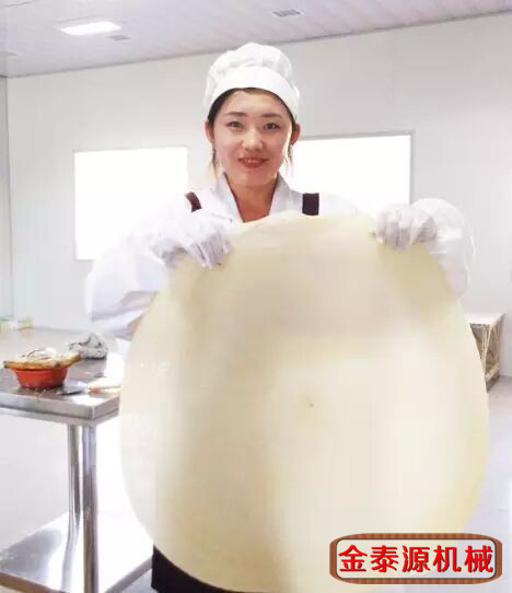 金泰源 節(jié)能蜂窩煤煤炭全自動煎餅機(jī)五谷雜糧煎餅機(jī)廠家直銷商用