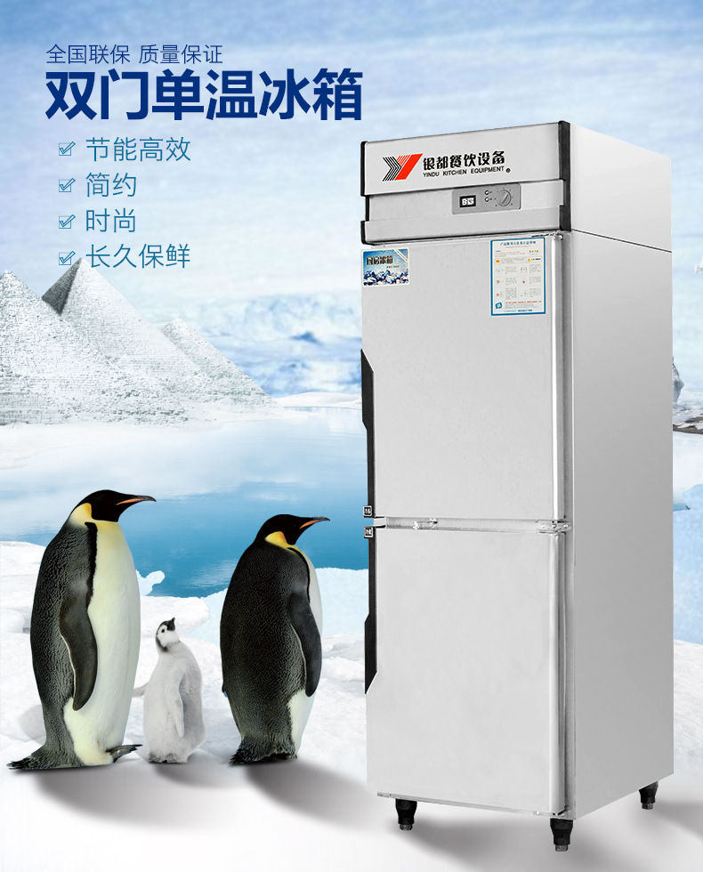 銀都冰柜商用立式雙門(mén)不銹鋼廚房柜冷凍柜速凍柜保鮮冰箱立式冷柜
