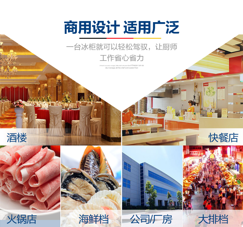 德瑪仕商用立式六門(mén)冰柜商用六門(mén)立式 展示柜 -KCD1.6L6 全冷藏