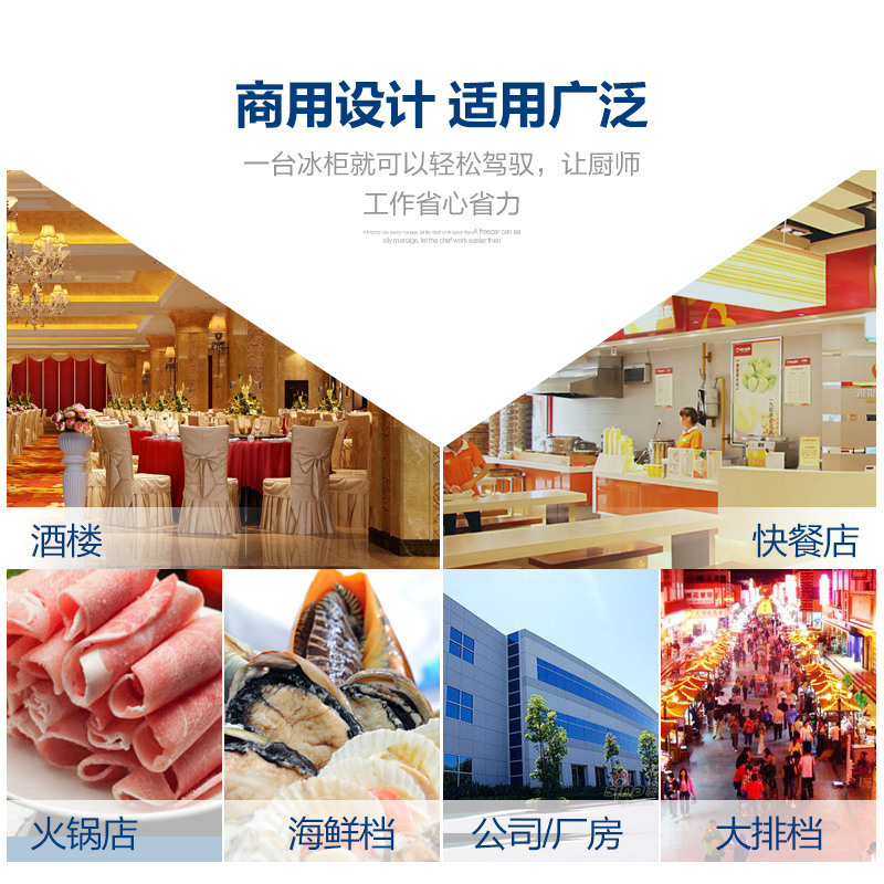 德瑪仕商用立式六門(mén)冰柜商用六門(mén)立式 展示柜 -KCD1.6L6 全冷藏