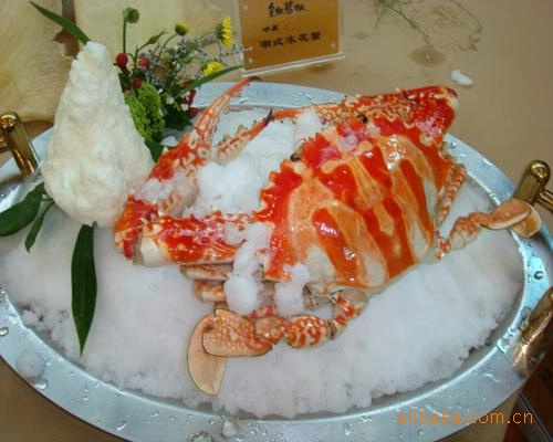 制冰機 商用子彈圓形冰 奶茶設(shè)備家用休閑冷飲 制冰機 外貿(mào)