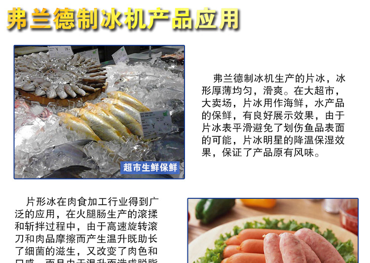 弗蘭德商用制冰機(jī) 圓冰制冰機(jī)雪花綿綿制冰機(jī)可定制小型方冰制冰