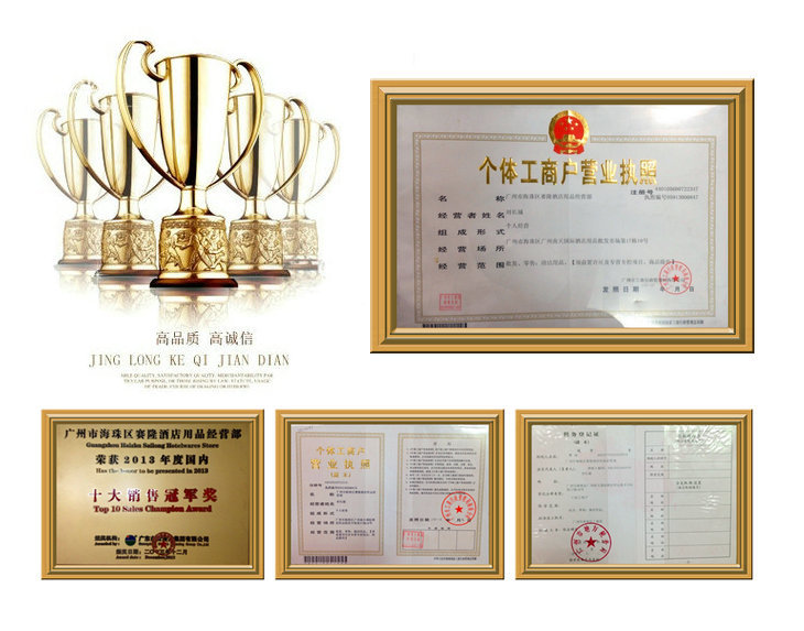 廠家直銷(xiāo) 家用掛燙機(jī)