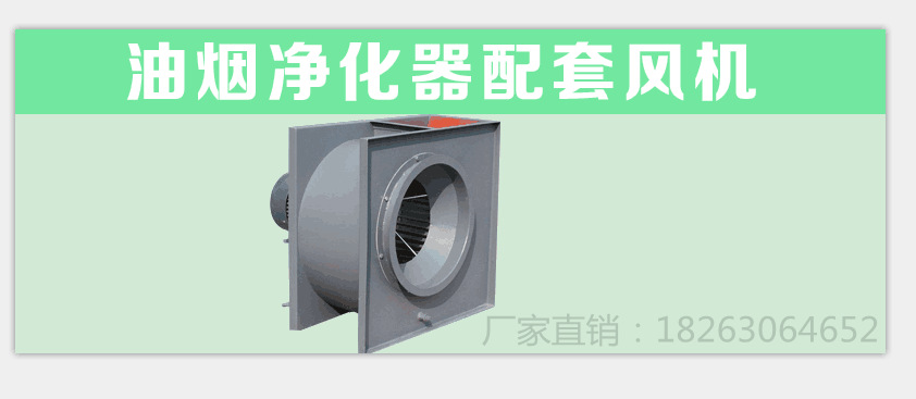 廠家直銷 高壓靜電油煙凈化器 高效環(huán)保油煙凈化器 歡迎訂購(gòu)